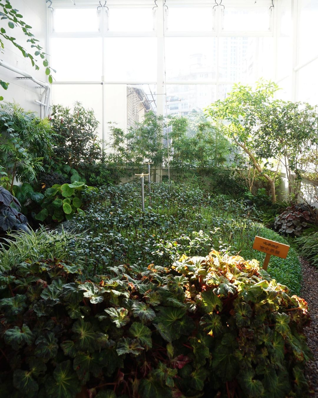 吃茶三千-茶園